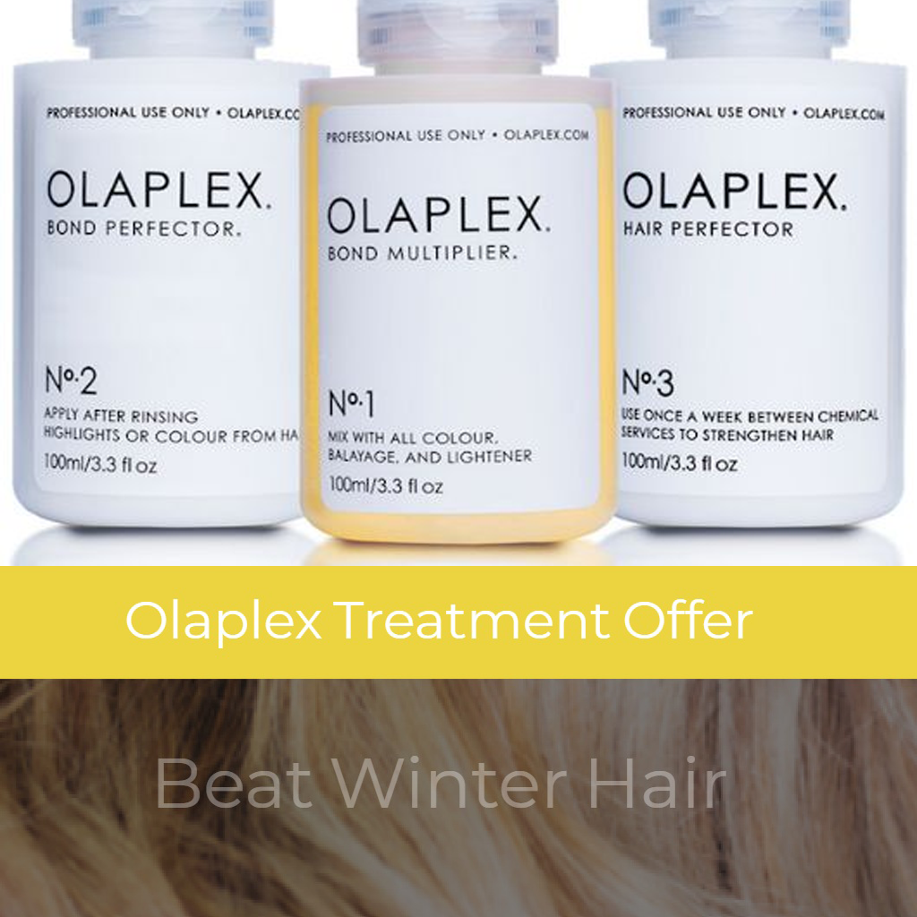 Forøge helikopter Oprør Olaplex March Healthy Hair Offer – Nottii Hill Salon